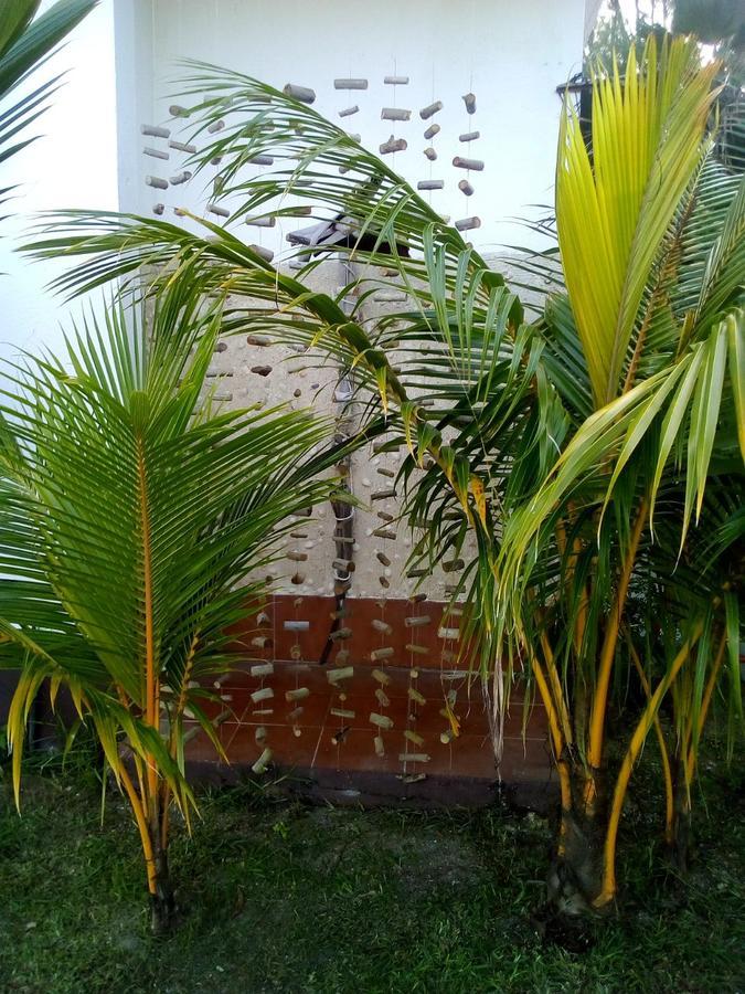Maison Amantine آنس رويال المظهر الخارجي الصورة