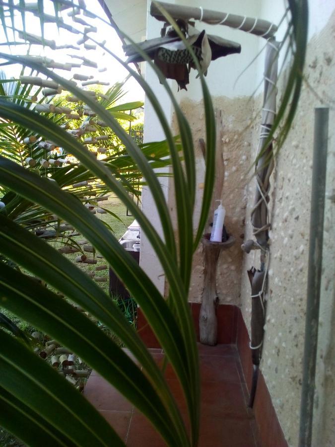Maison Amantine آنس رويال المظهر الخارجي الصورة